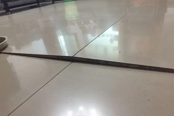 地砖翘起来了怎么修复(一块地砖翘起来了怎么修复)